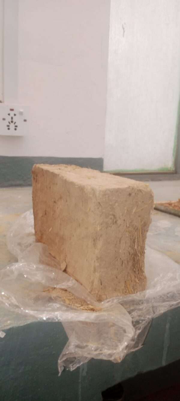 Bio Bricks - Image 3