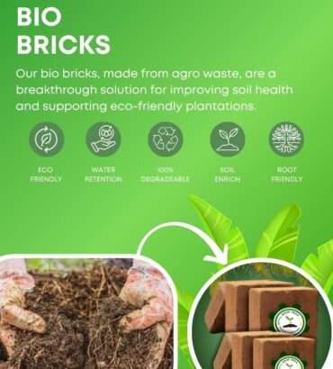 Bio Bricks