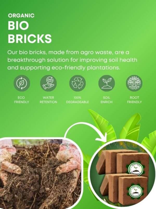 Bio Bricks
