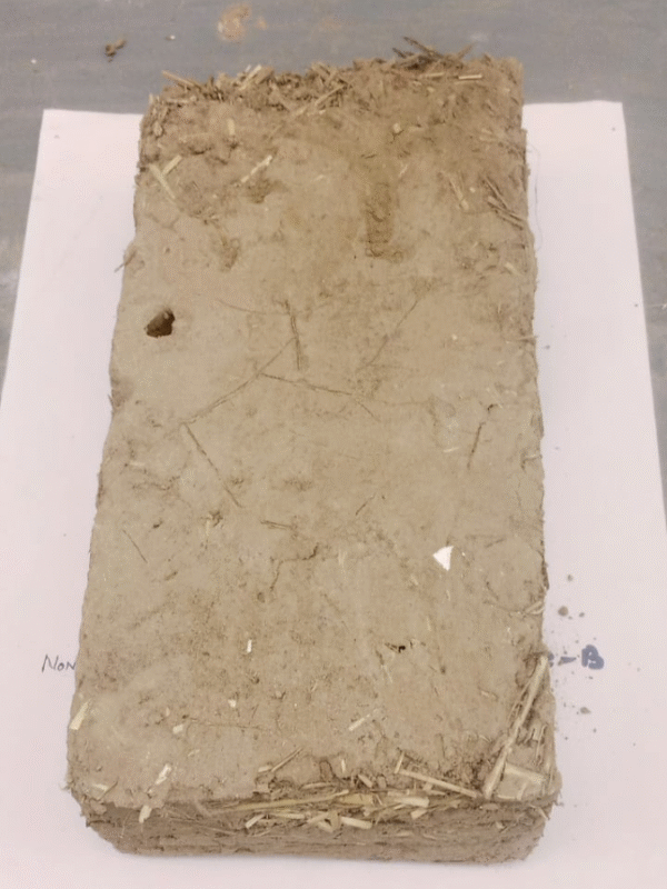 Bio Bricks - Image 2